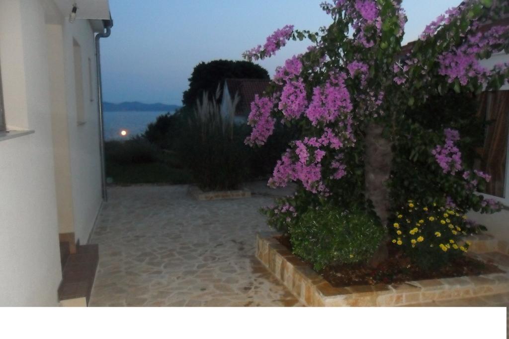 Apartments Nada زادار الغرفة الصورة